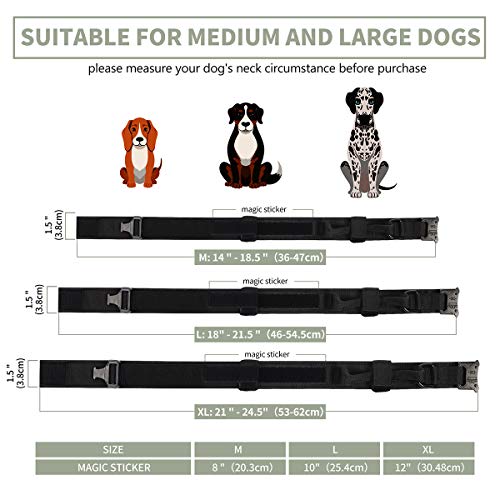 https://m.media-amazon.com/images/I/51q96G8i2mL._SL500_.jpg