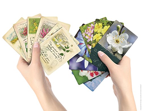 Bach-Flower-Divination-Cards-pack-free-pen-38-Beautiful-illustrations-with-Proverbs-and-Positive-Affirmations-Cards--1-Jan-2012