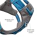 Kurgo Journey Air Dog Harness - Secure Fit for Active Dogs - Padded Chest - Lightweight Ripstop Fabric - Breathable Mesh - Reflective Trim - Back Assist Handle - Blue - Large