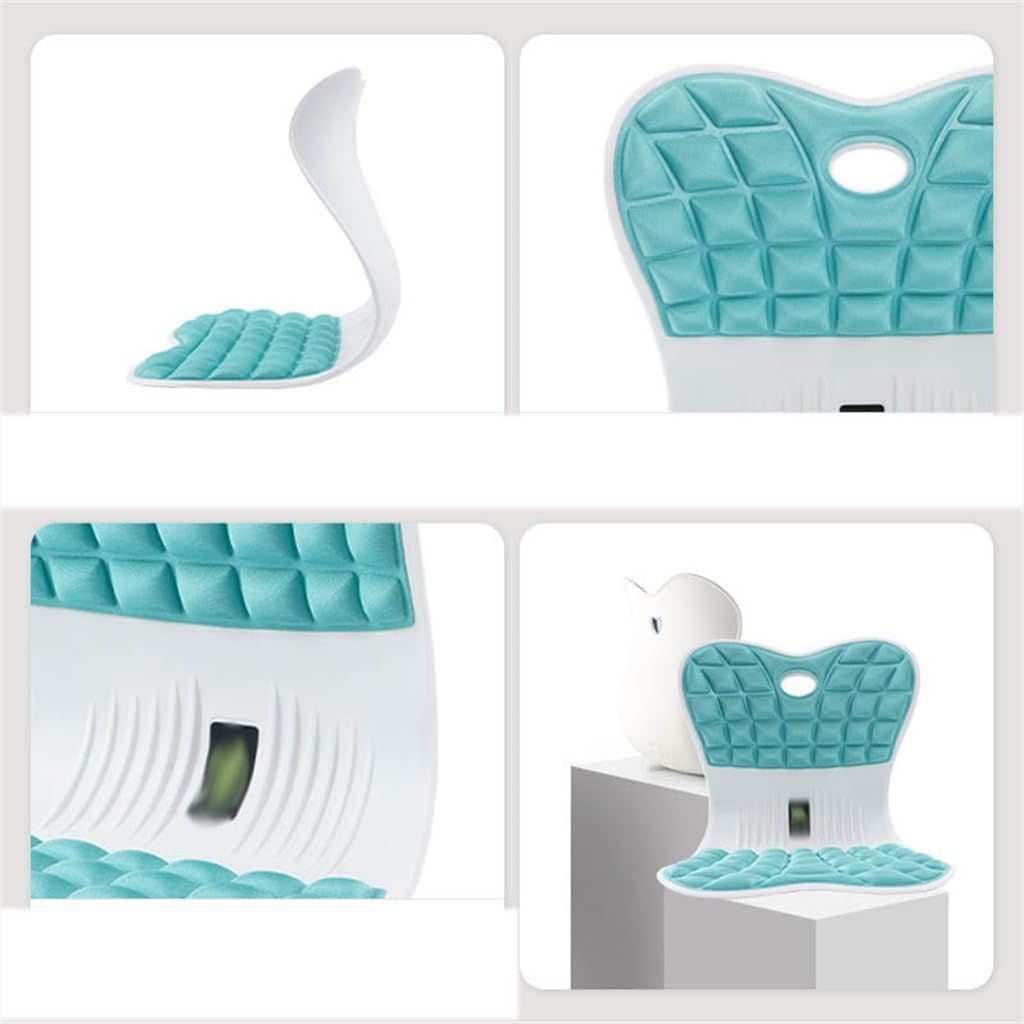 Coussin de Protection Lombaire Capital orthopédique Orthèse de Dossier Anti-bossu