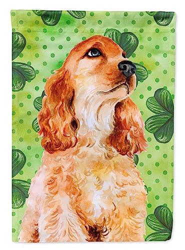 Drapeau de St Patrick multicolore BB9880GF petit format pour extérieur