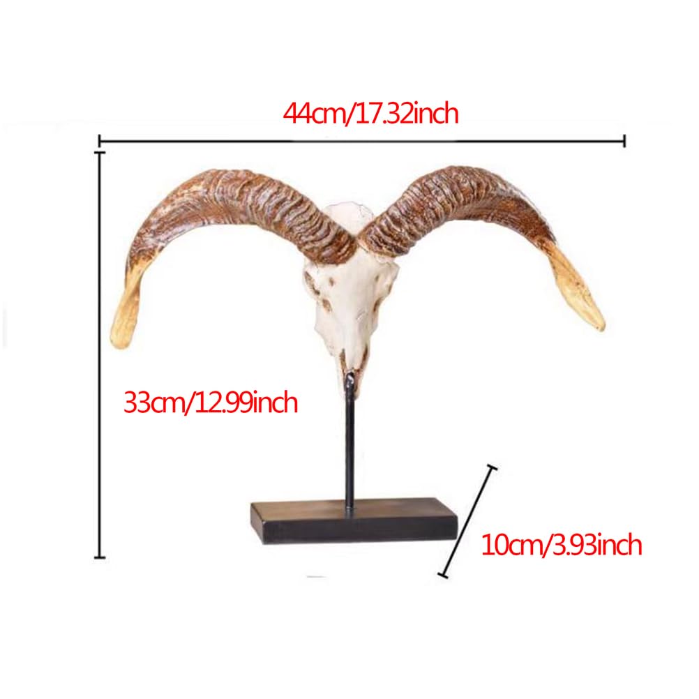 Echte Schaf Schädel Exemplar - Taxidermy Schaf Schädel Statue - 12.99inch Tall Skull Dekoration für Sammlerstück Figuren Home Office Tabletop Ornamente