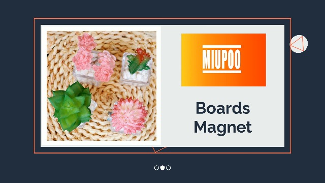 Imanes Decorativos de Plantas Suculentas MIUPOO Set de 4 miniatura 7