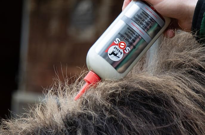 Leovet SOS Hautpflege Lotion bei Milben | 500 ml | Pflegelotion für Pferde | Zur reinigenden Pflege beanspruchter Haut durch Milben- und Parasitenbefall | Bei Juckreiz