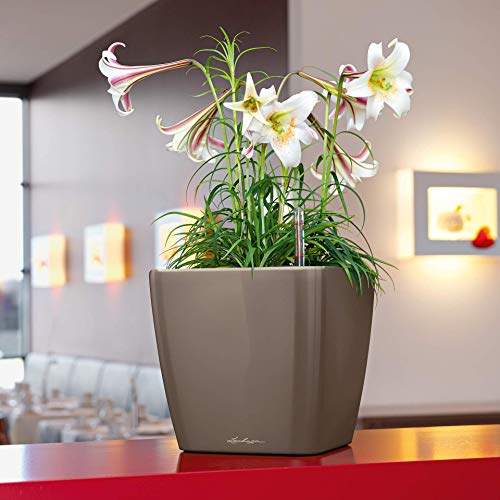 Pot de fleurs Lechuza Quadro Premium 21 LS blanc brillant 35 cm