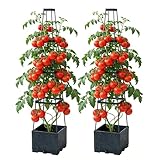 Tomatentopf mit Rankhilfe, 2 Pack Selbstbewässerung Tomatentopf mit...
