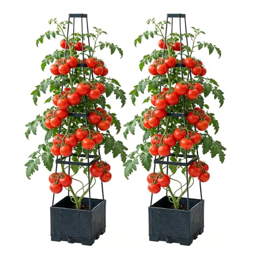 2 Pack Jardinière Surélevée avec Treillis, 140cm Pots à Tomates à Arrosage Automatique avec Réservoir d'eau, Réglable en Hauteur Tuteur Tomate pour Plantes Grimpantes Légumes Fleurs Balcons Terrasses