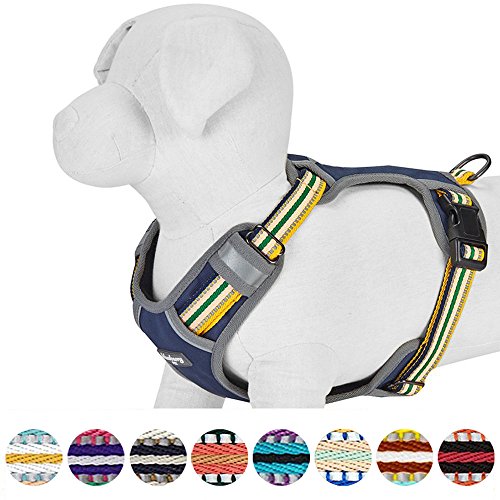 Blueberry Pet 9 Colors Soft & Comfy 3M Reflective Multi-Colored Stripe Mesh Padded No Pull Dog Harness Vest With Back Leash Clips, Large, Yellow & Green #TOP6