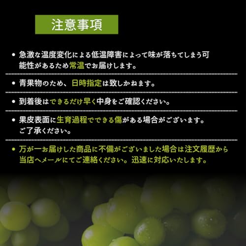 ノーブランド品 シャインマスカット の商品画像 4
