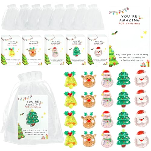 Succwoah 100 Set Christmas Employee Appreciation Gifts