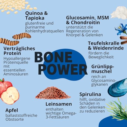 BugBell 800g Hundefutter trocken getreidefrei, zur Knochen & Gelenkunterstützung, bei Arthrose, Patellaluxation, mit Grünlippmuschel & Spirulina & Weidenrinde & Teufelskralle