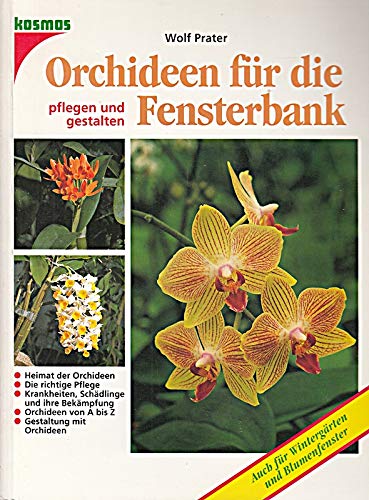 Orchidee Fensterbank Die 15 besten Produkte im Vergleich