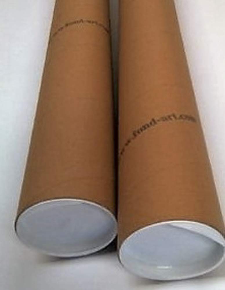 Backdrop for Photography and Video, Professional Reversible Background, Grey - White, 270 x 505 cm - 5