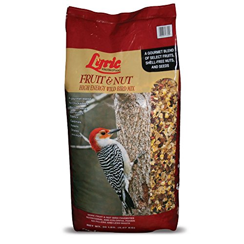 Lyric Fruit and Nut Wild Bird Seed - High Energy Wild Bird Food Mix - Attracts Woodpeckers Chickadees & Other Songbirds -20 lb. Bag