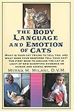 The Body Language and Emotion of Cats
