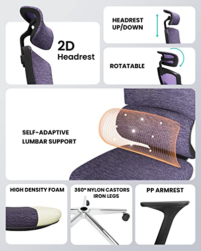 Dripex Ergonomic Office Chair-Mesh High Back Desk Chair Computer Chairs With Lumbar Support/Arms/Adjustable Headrest/Cushioned Seat/Wheels, Swivel Rolling Reclining Office Chair For Home Office,Purple #TOP4