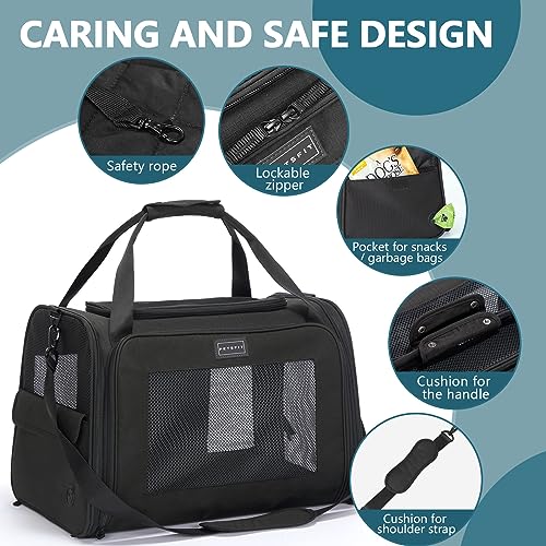Petsfit Transportbox Katze Hund faltbar Transporttasche Hundetasche für Katzen Hunde, Hochwertige Tragetasche Hund Katze mit Schultergurt und weiches expandierbare Kissen, groß