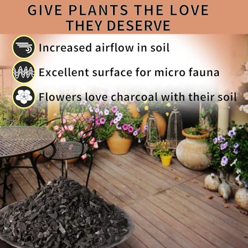 Image of Horticultural Activated Charcoal 450g for Orchid, Succulent, Adenium, Terrarium Plant & Potting Mix | Natural Soil Filter+Long Burning Coal for Havan, Barbeque Cooking & Pooja Dhoop (Pack of 1)