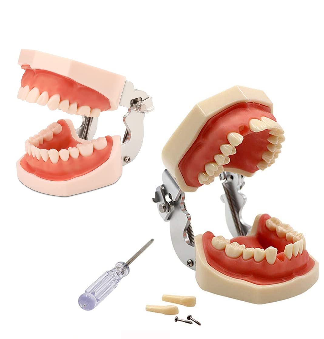 Occhiali Ingrandenti Dentista Modello 32 Denti Fissati A Vite Con