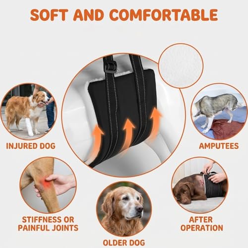 Dog Lifting Harness, Dog Sling for Back Legs Support, Dog Mobility Aids Support Sling For Back Legs,Lifting Sling for Pets with Handle, Dog Support Sling(W:10CM) - Image 5