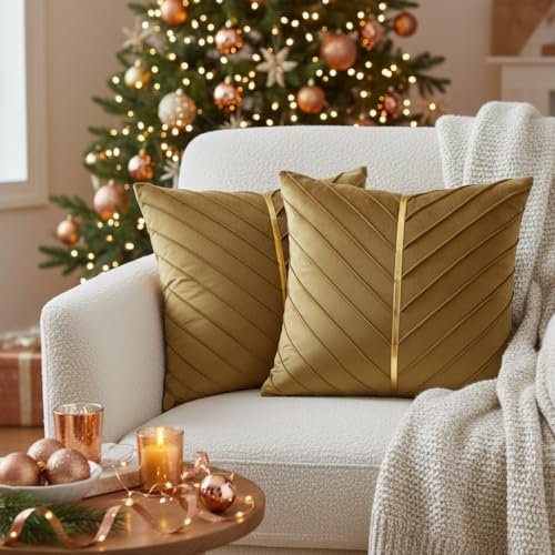 Image of Velvet Throw Pillow Covers 20x20 inch Pack of 2 Gold Decor Brown