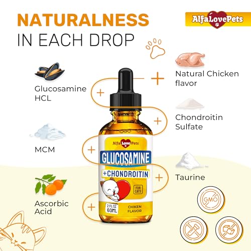 Cat Joint Supplement for All Breeds – Glucosamine for Cats and Kittens – Glucosamine, Chondroitin, MSM for Hip & Joint Care – Natural Ingredients with Chicken Flavor – 2 Oz