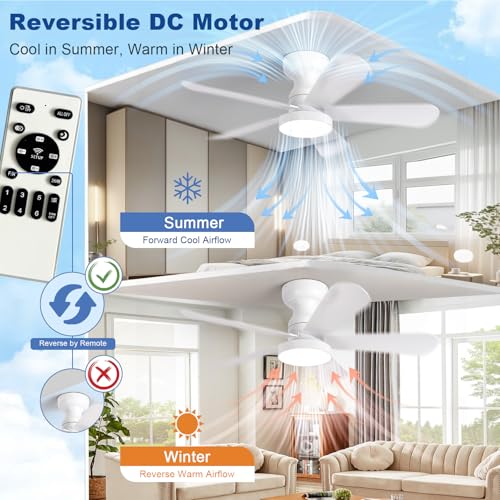 Image of Depuley Small Ceiling Fan with Lights: 35-Inch Flush Mount Fan with Light and Remote - White Low Profile Ceiling Fans Reversible Quiet DC Motor for Bedroom Living Room Indoor Outdoor