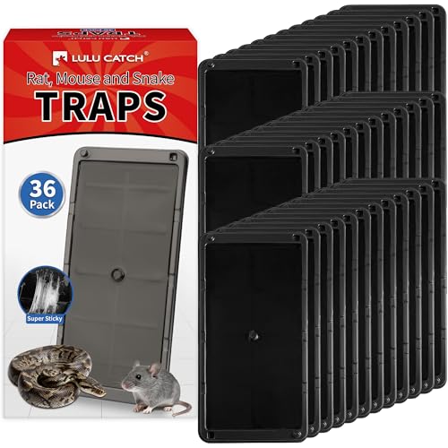 Image of LULUCATCH Mouse Traps 36 Pack, Larger Heavier Glue Traps for Mice, Rat & Snakes, Non-Toxic Sticky Mouse Traps Indoor for Home & Kitchen, Easy to Set