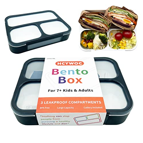 20 Best Bento Box Microwave Safe We Need To Know Katia Cardenal