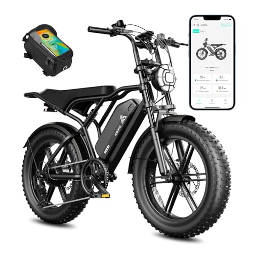 TST Electric Bike