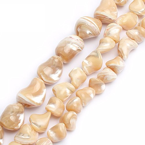 Image of HAAMIIQII 8x12mm Natural Freeform Brown Mother of Pearl Shell Beads Loose Gemstone Beads for Jewelry Making Strand 15 Inch (31-33pcs)