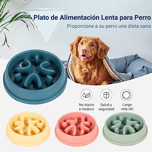 Manualidades, Toy plato del buen comer manualidades Marca RFID (2)