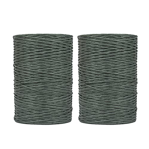 Verschiedene Papierdraht Angebote in allen Längen und Farben zum basteln Floristik Bastelschnur Papierdraht Reißfest Bindedraht Basteldraht Juteschnur (Papierbindedraht, 2 X Grün) Cover