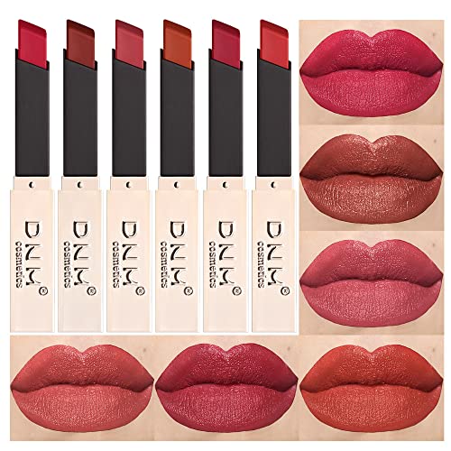 6Pcs Silky Velvet Matte Leather Lipstick Set Lip Stain Makeup,DNM Waterproof Dark Red Stay on Matte Matt Liquid Lipsticks Sets for Women Matt Liquid Lippies labiales matte larga duracion 24 Set-C01