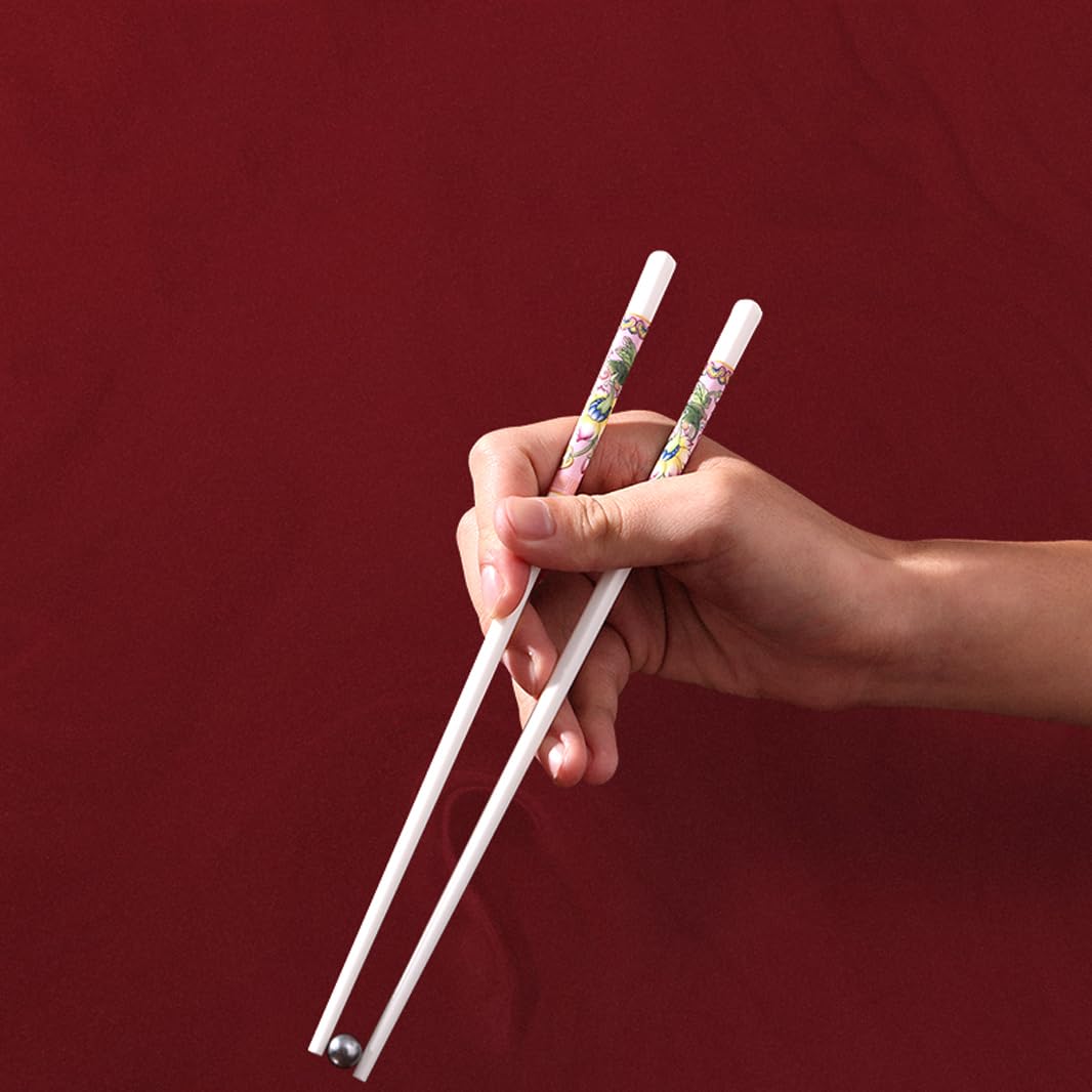 Coffret cadeau de baguettes en porcelaine chinoise, coffret cadeau de 10 paires de baguettes réutilisables lavables au lave-vaisselle avec étui, baguettes en céramique d'os de haute qualité avec