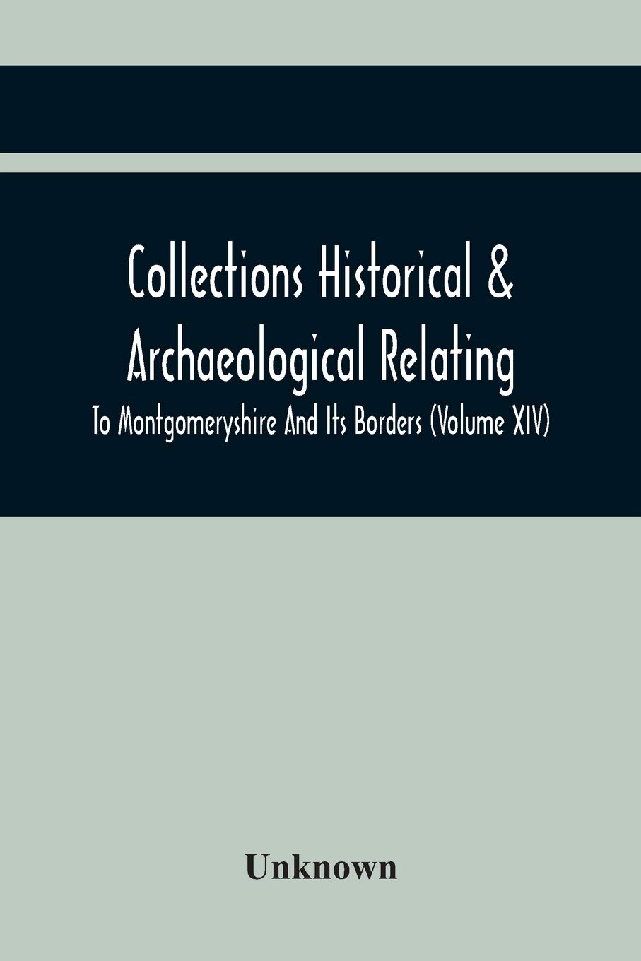 Collections Historical & Archaeological Relating To Montgomeryshire And Its Borders (Volume Xiv)