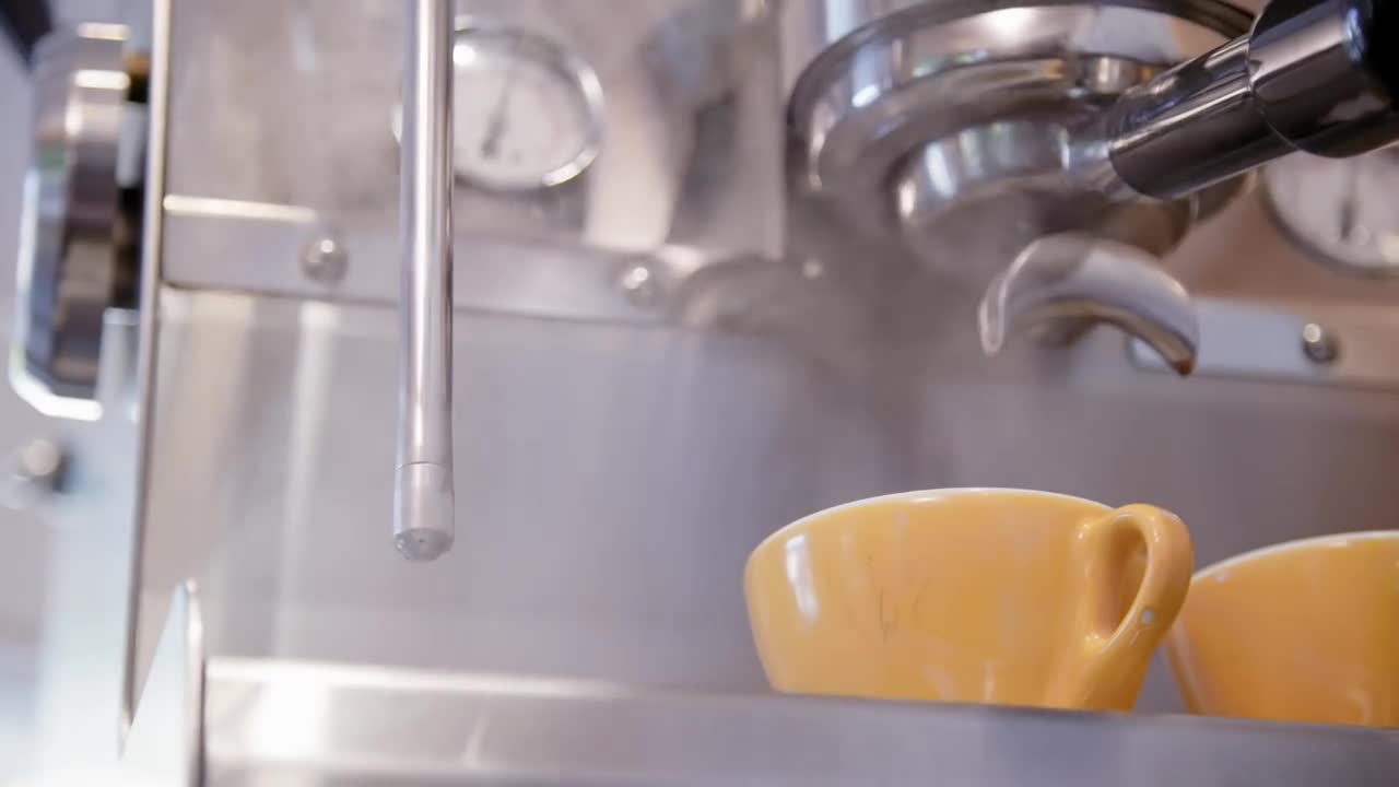 Breville BES810BSS Duo Temp Pro 