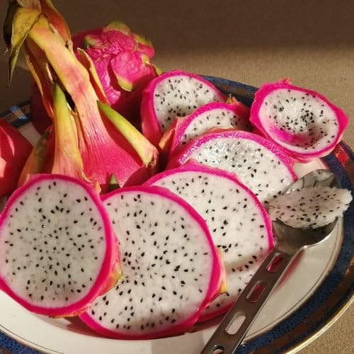 Plant World Seeds - Dragon Fruit Seeds (Tropical Fruit Seeds)