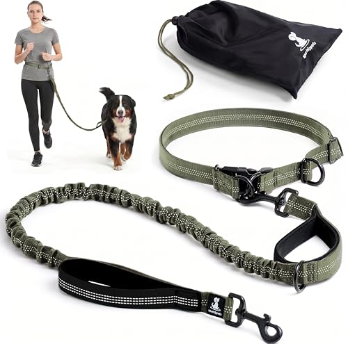Guinzaglio mani libere per cani di taglia media e grande – guinzaglio per correre con il cane per addestramento, camminata, jogging e corsa con cani (Verde Gamma, Per 1 Cane)