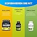 BioTechUSA Beef Protein, 87% hydrolysiertes Protein-Peptid-Formel, Laktose- und Gluten-frei, fettarm, zuckerfrei, Paleo-Diät-freundlich, 500 g, Vanille-Zimt