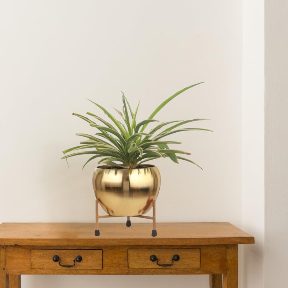 See full amazon price history chart for CS3HUB Golden Metal Planter Tabletop | Home Decor Item | Living Room Planter | Decorative Vase for Garden - Pack of 3 CS3HUB Golden Metal Planter Tabletop | Home Decor Item | Living Room Planter | Decorative Vase for Garden - Pack of 3 (B0CQHKDXW8) Amazon Price History, Amazon Price Tracker