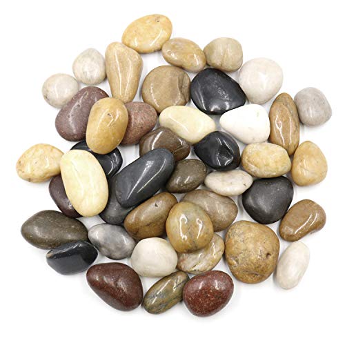 Polished Colored Stone Pebbles 10 Lb. 1â€ â€“ 2â€ inch Pebbles for Plants, Fairy Gardens, DÃ©cor, Landscaping, Succulent, Terrarium, Decorative, 100% Natural Colorful Stone Pebbles, Multicolored Rocks