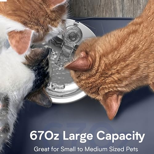 Fuente de agua automática para gatos de acero inoxidable miniatura 3