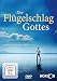 Produktbild Der Flügelschlag Gottes - Interview mit einem Engel