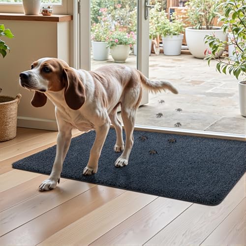 DEXI Fußmatte Innen 80 x 120 cm, rutschfeste Schmutzfangmatte, Maschinenwaschbare Fussmatte, Saugstarke Türmatte, Sauberlaufmatte, Eingangsteppich für Hund, Haustür & Flur, Blau-schwarz