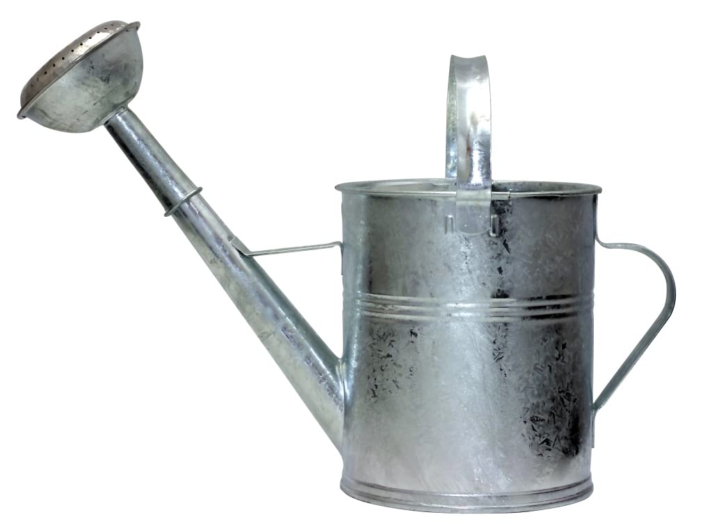 Arrosoir galvanisé 9L pour le jardinage classique
