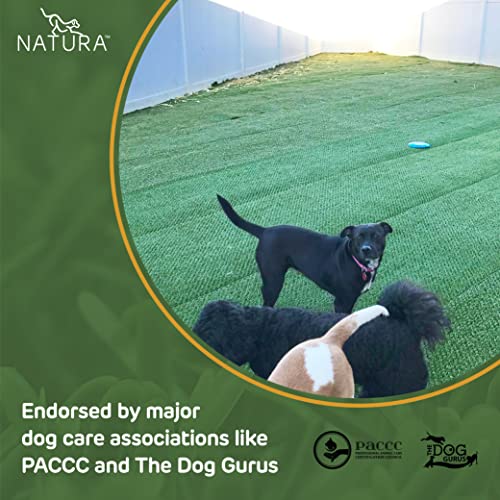 Natura PowerRun 10376807 Outdoor Artificial Grass for Dogs, Turf Grass Patch Blends in with Natural Grass, Keeps Paws and Homes Clean, 1.5 ft. x 15 ft., Green