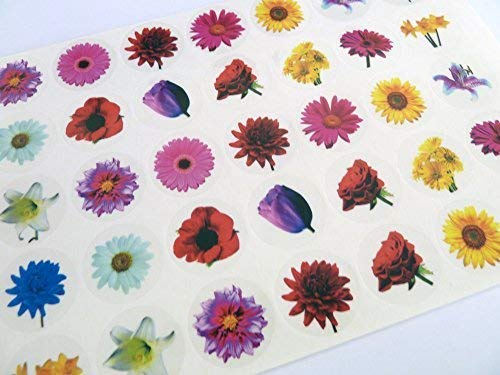 Minilabel Small Flower, Circle Greeting Stickers, Colour On Clear Self-Stick Labels for Cards, Envelopes, Craft, Decoration