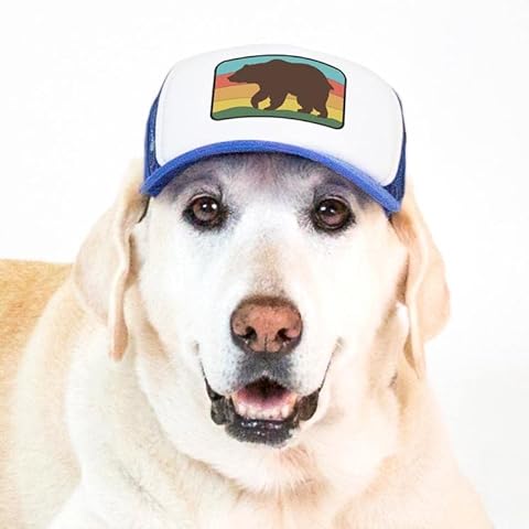 Nature Collection, PupLid Trucker Hats for Dogs (Large) Premium Stylish Sun Protection for The Modern Dog - Adjustable for Secure Comfortable Fit on Active Dogs (Blue, Bear) Cover
