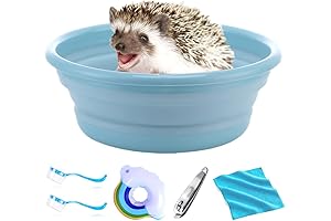 The Ultimate Hedgehog Bath Time Essentials